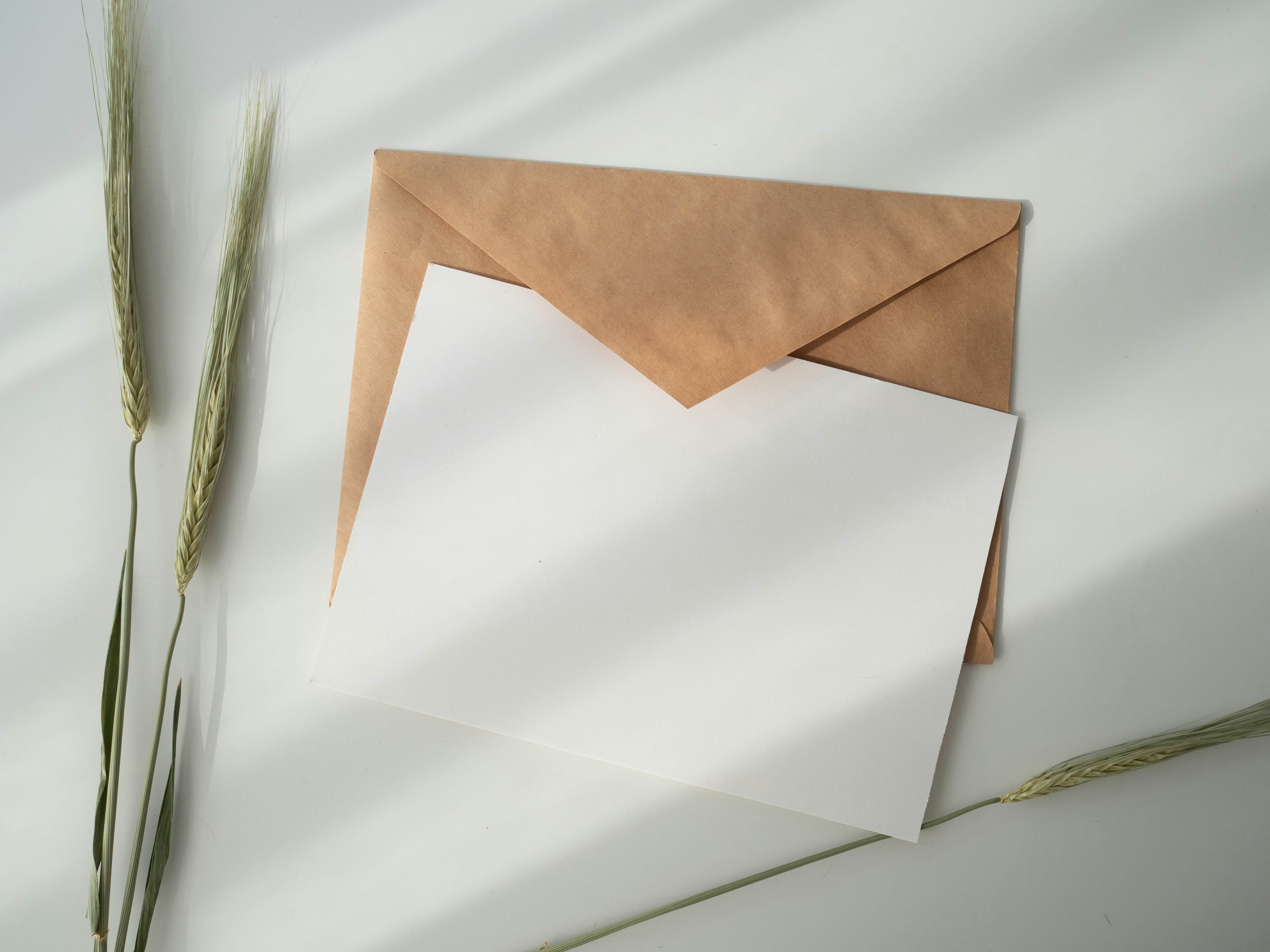 An envelope with a note inside | Source: Unsplash