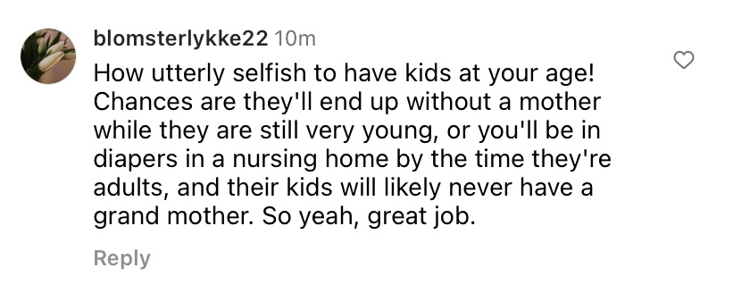 A negative comment calling Hilary Swank "selfish" on the photo showcasing her twins posted on April 10 2023 | Source: instagram.com/@hilaryswank