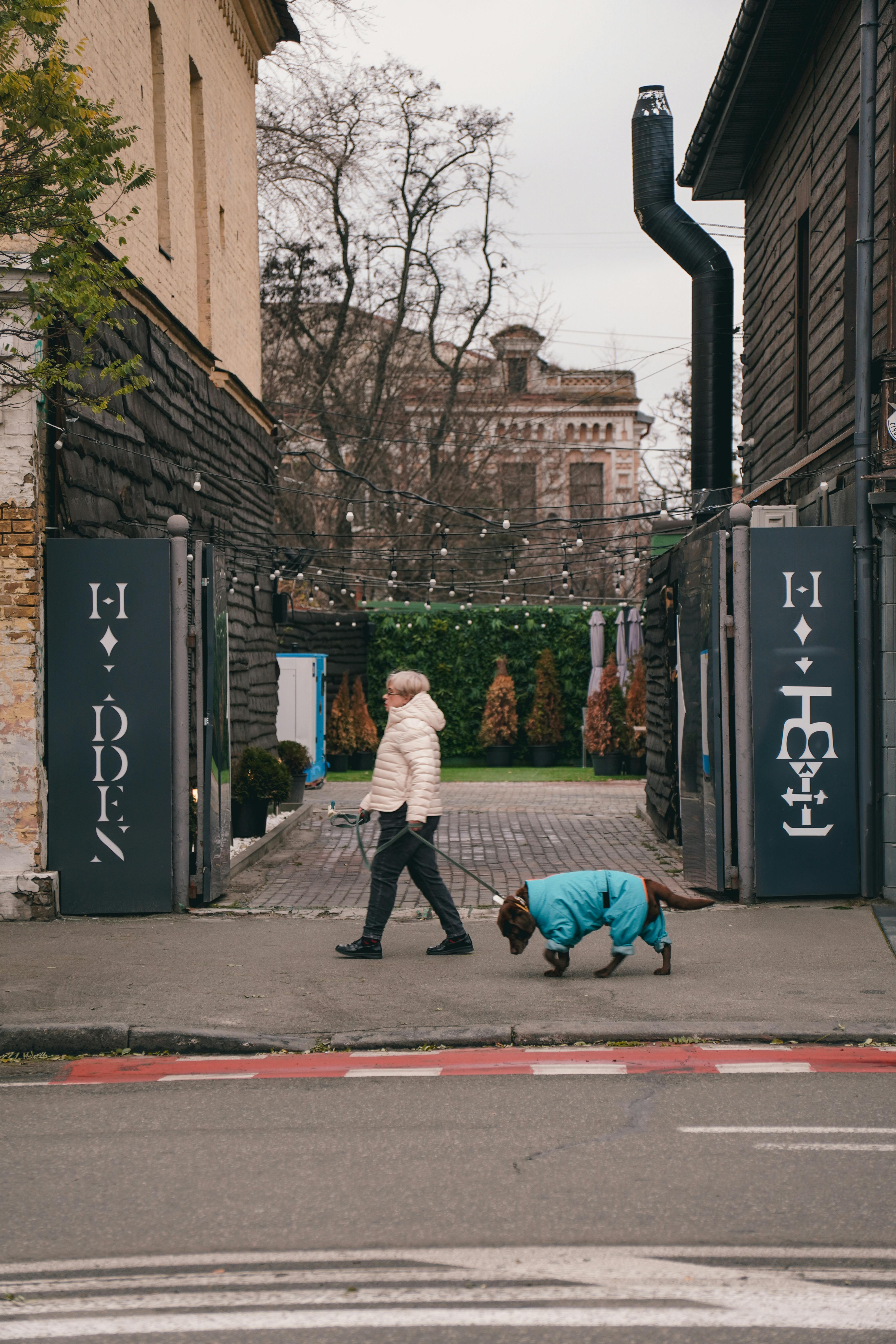 A woman walking her dog | Source: PExels