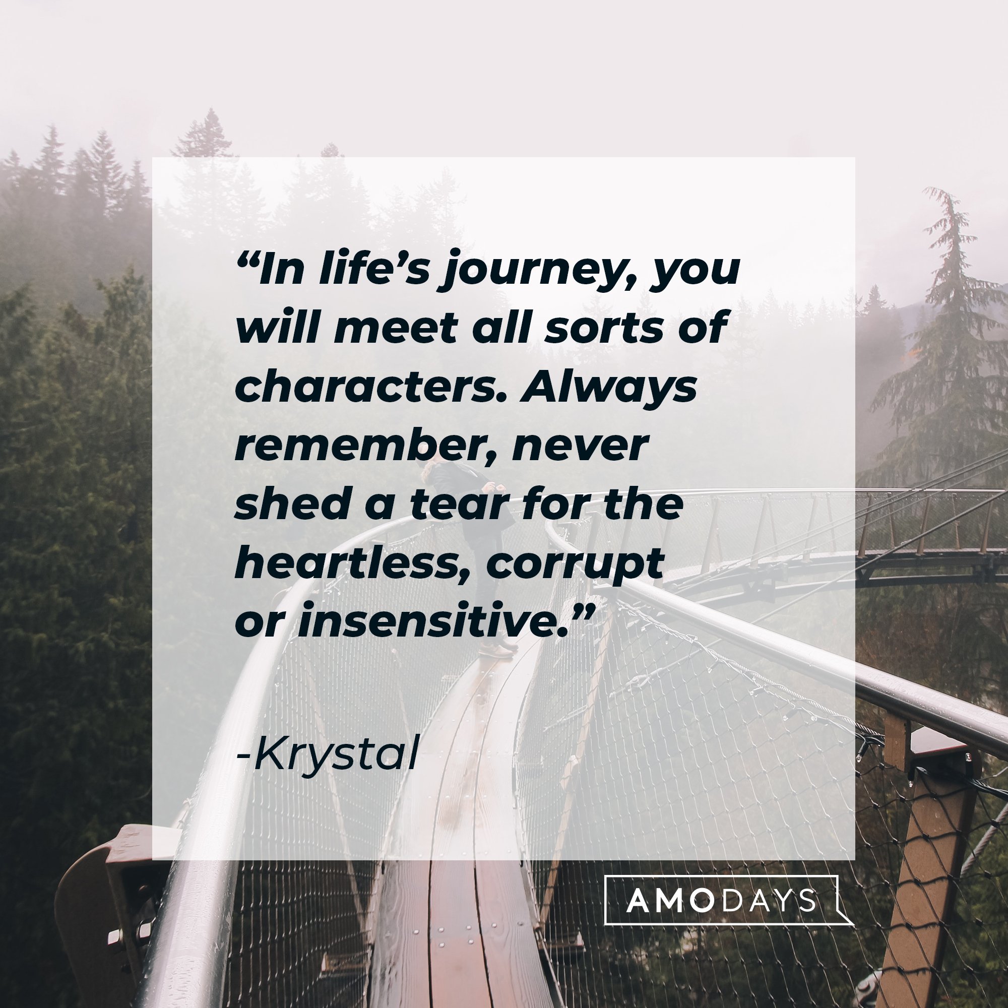 Krystal's quote: "In life’s journey, you will meet all sorts of characters. Always remember, never shed a tear for the heartless, corrupt, or insensitive." | Image: AmoDays