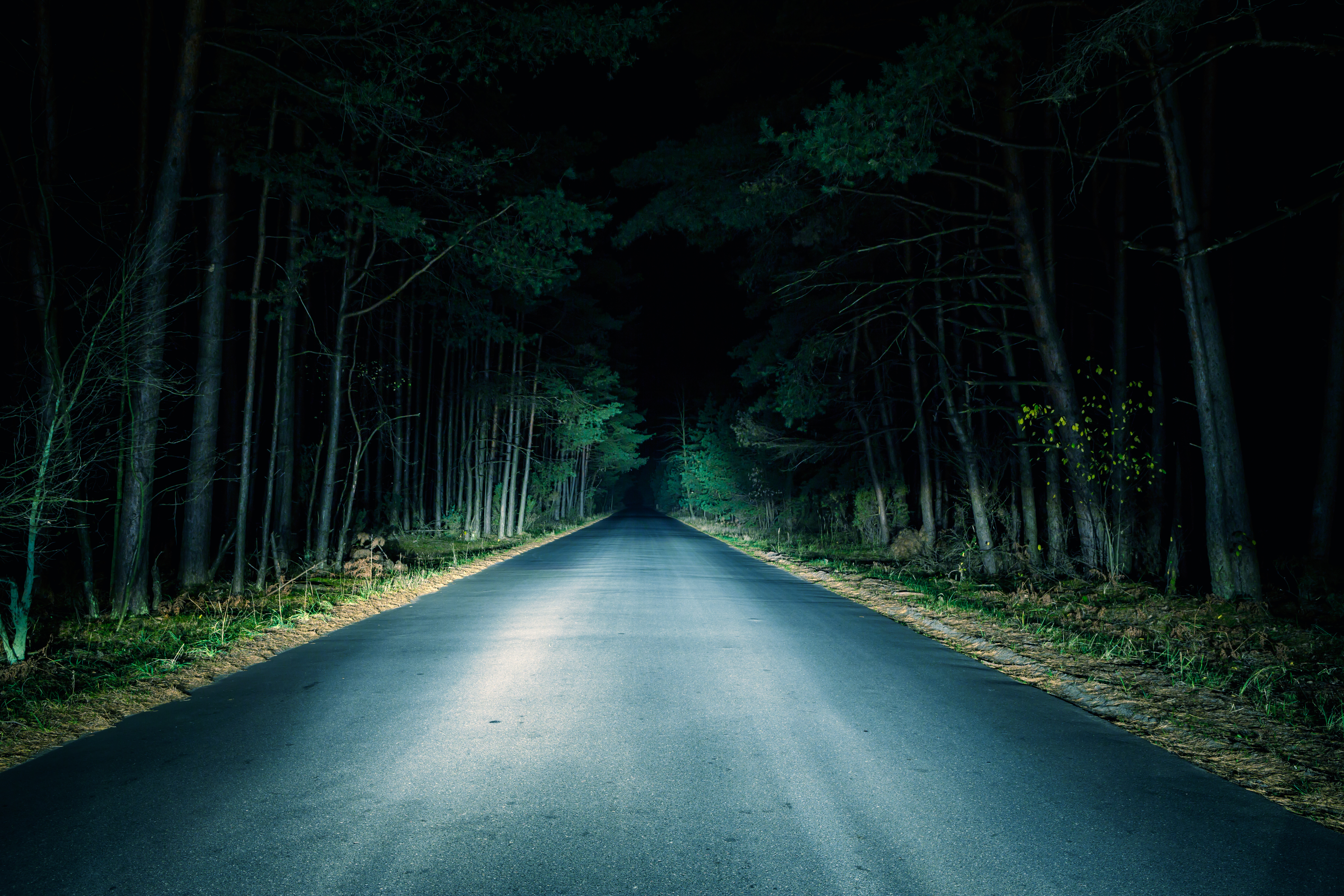 Night Road on dark forest | Source: Shutterstock
