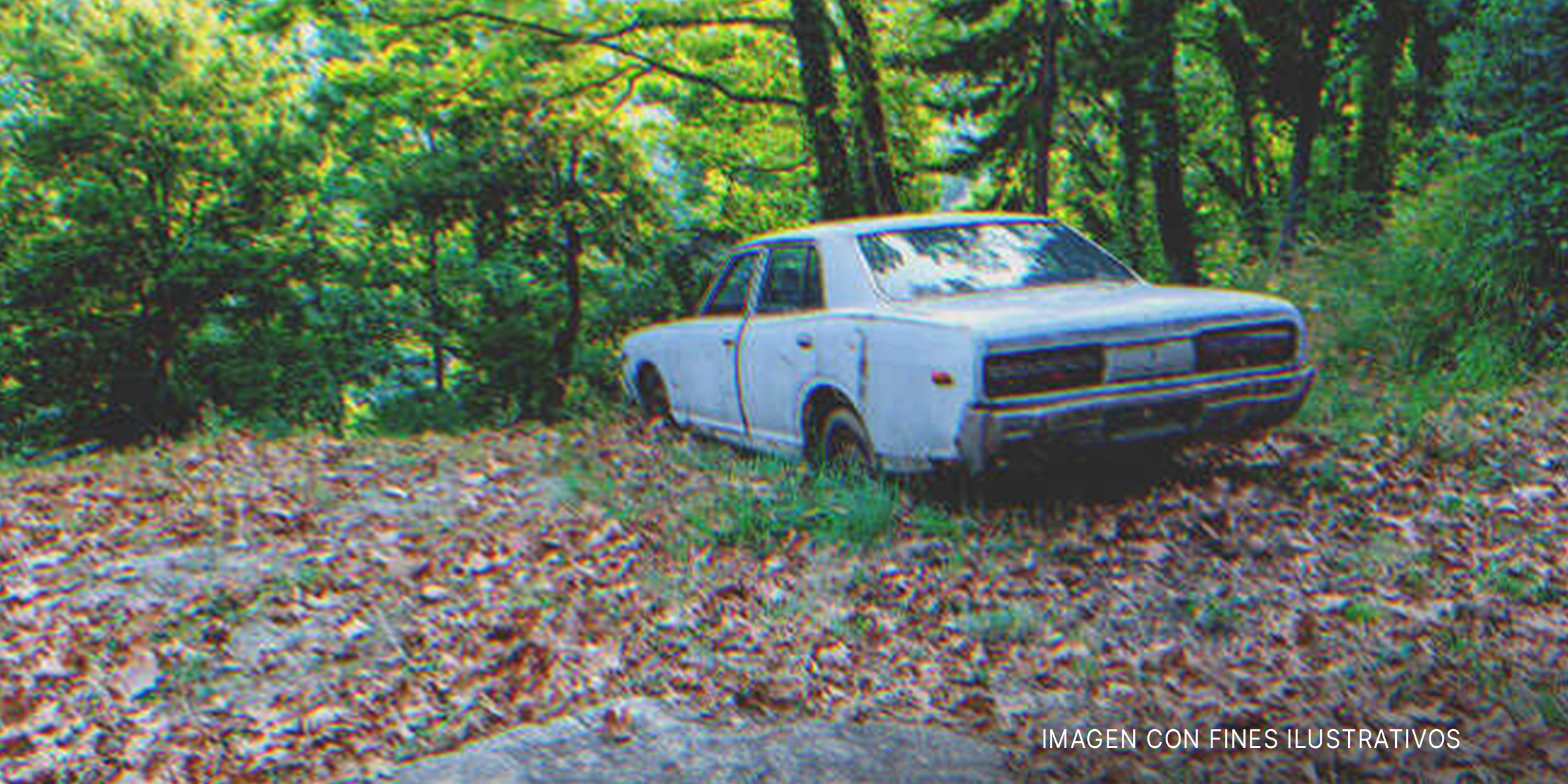Auto abandonado en un bosque. | Foto: Shutterstock