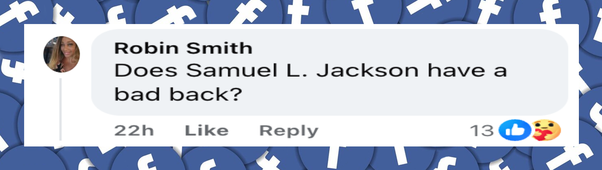 A netizen's comment on a video showing Samuel L. Jackson and LaTanya Richardson Jackson on the red carpet of the 78th Tony Awards, dated June 9, 2025 | Source: Facebook/People