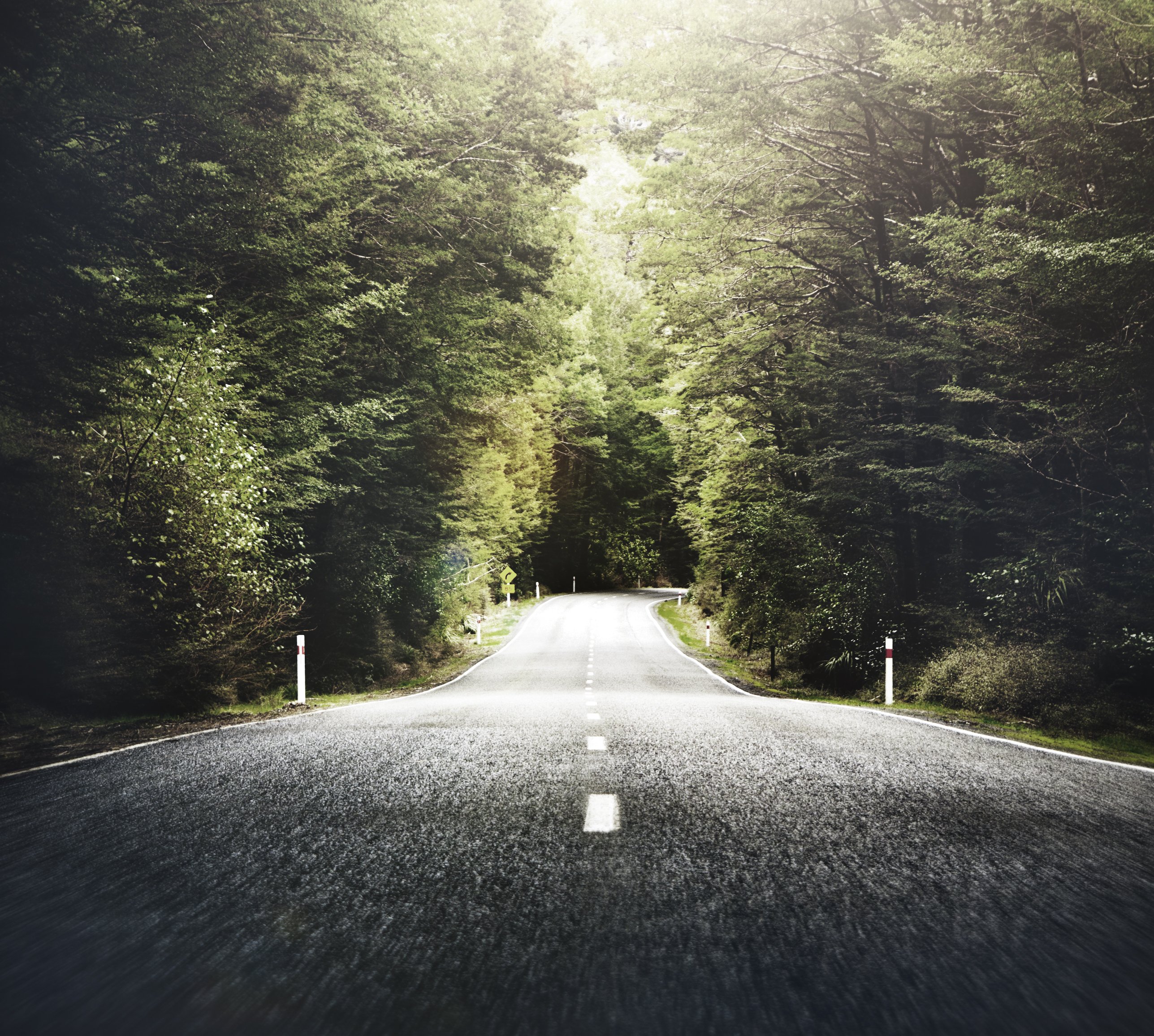 Herbst-themenorientierte Landstraße mit Gebirgszug | Quelle: Shutterstock Herbst-themenorientierte Landstraße mit Gebirgszug | Quelle: Shutterstock