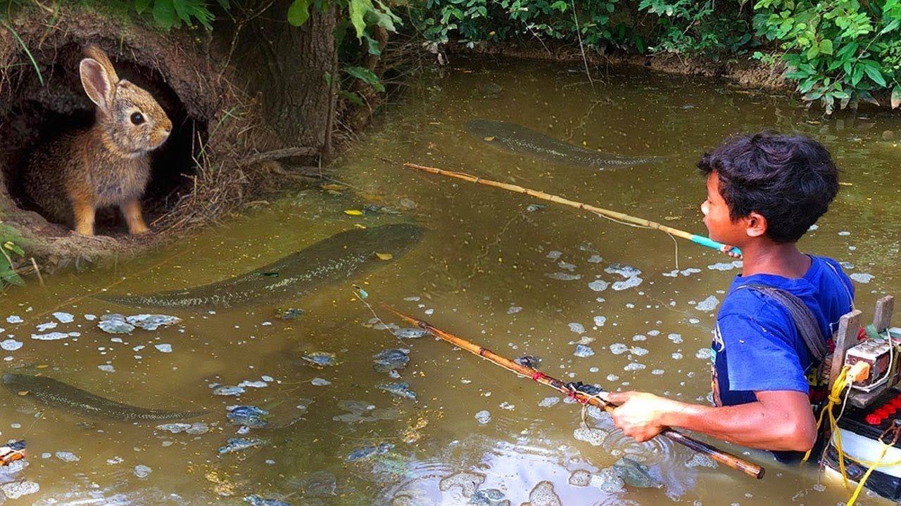 Image Source: YouTube/Forest Survival Image Source: YouTube/Forest Survival