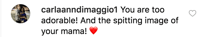 Fan comment on Riley Keough's post. | Source: Instagram:RileyKeough