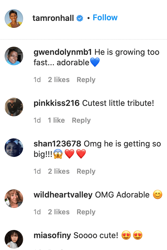 Fans' comments on Tamron Hall's post. | Source: Instagram/tamronhall