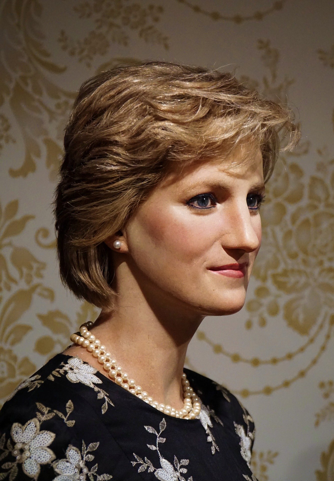 Portrait de Lady Di. | photo : Pixabay