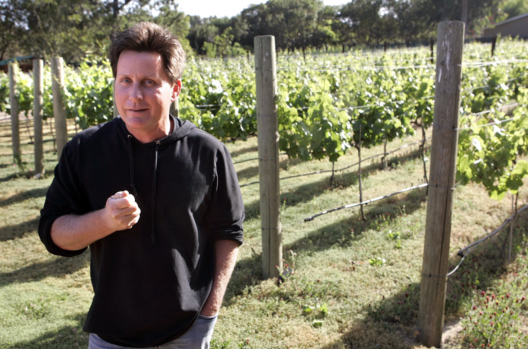 Emilio Estevez (el actor) trabaja en su viñedo en Malibú, California. Jueves, 01 de mayo de 2008. Estévez es uno de los viticultores que ha producido una línea de vino embotellado. | Foto: Getty Images
