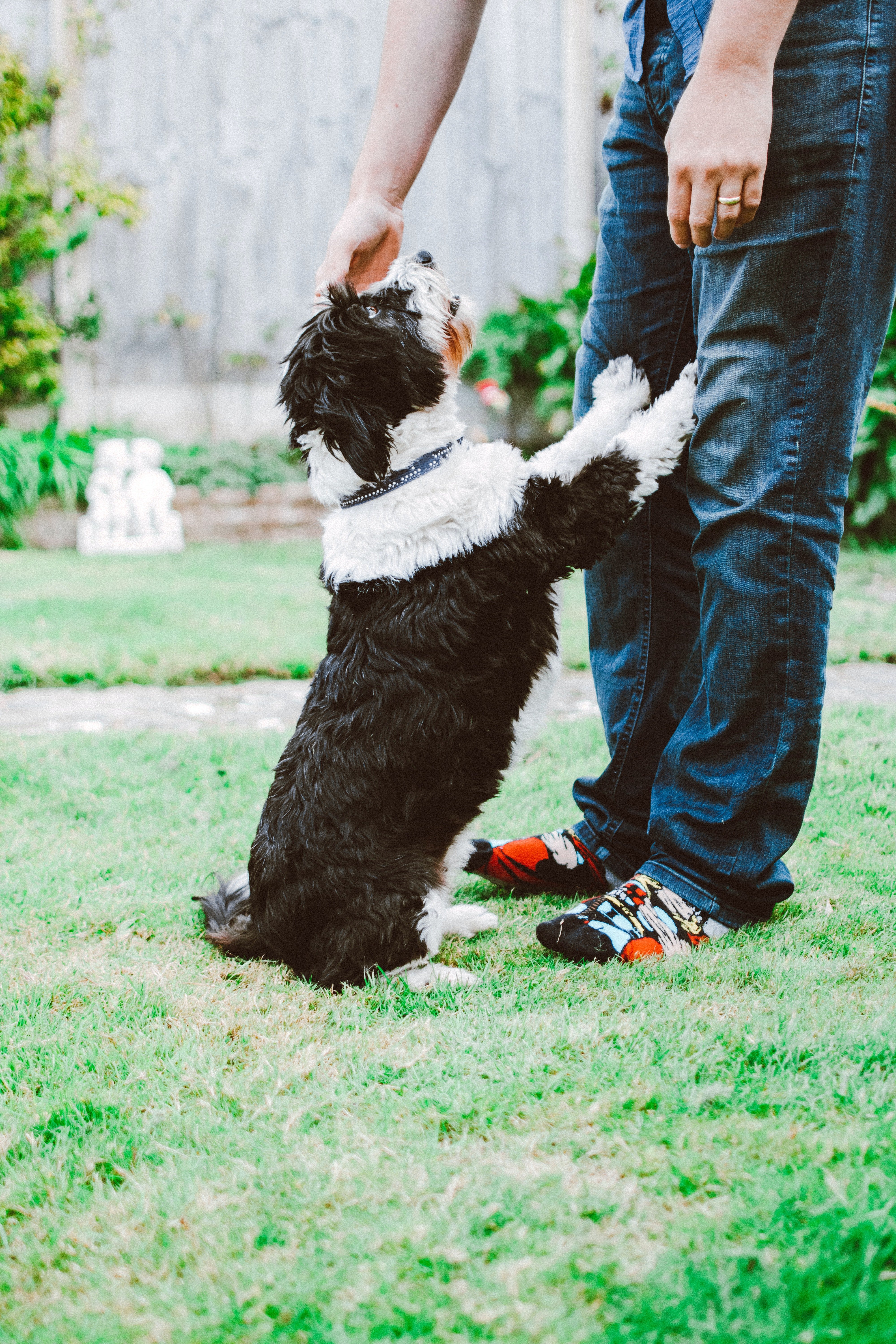 Hombre con su perro. | Foto: Pexels