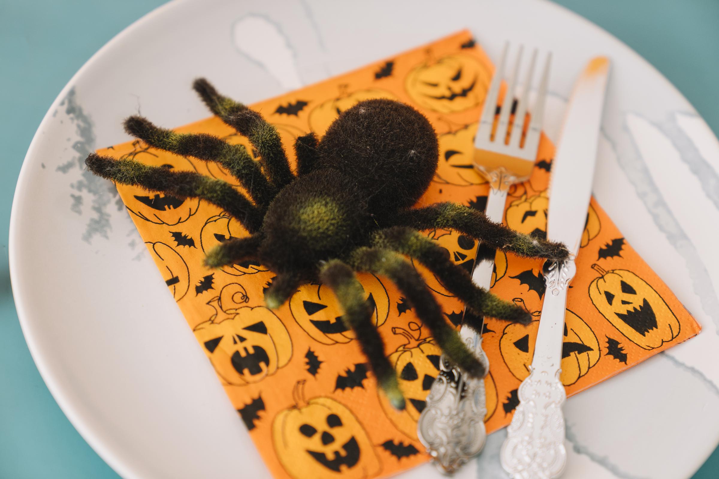 A fake spider on a plate | Source: Freepik