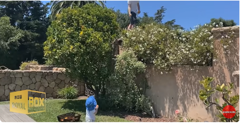 Prince Harry, Duke of Sussex and Archie Harrison Mountbatten-Windsor picking oranges at home from a YouTube video dated December 15, 2022 | Source: Youtube/@LMT