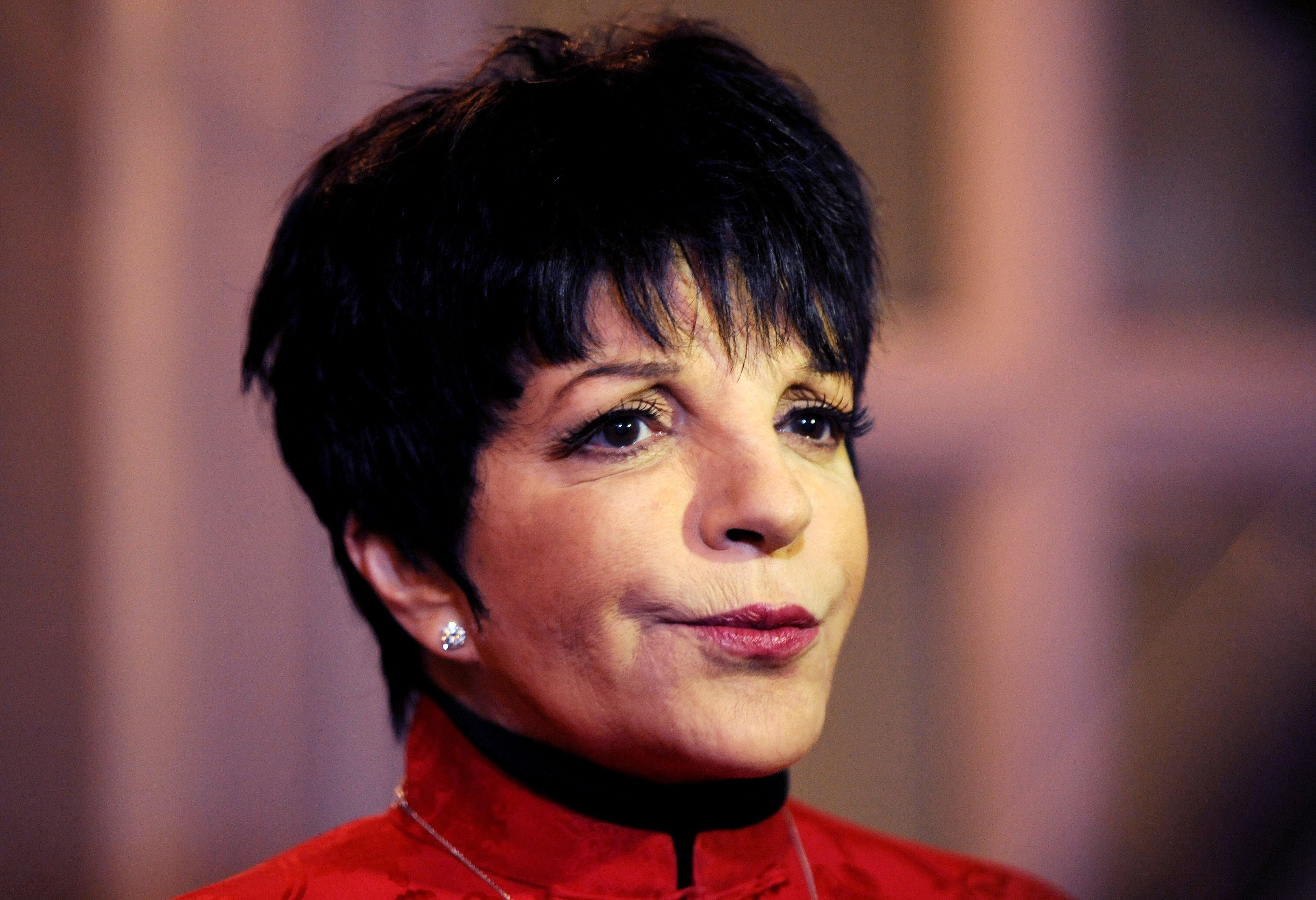 Liza Minnelli at the Nordoff Robbins Silver Clef Awards. | Source: Getty Images