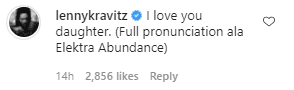 Lenny Kravitz commenting on an Instagram post by Zoë Kravitz. | Source: Instagram/zoeisabellakravitz
