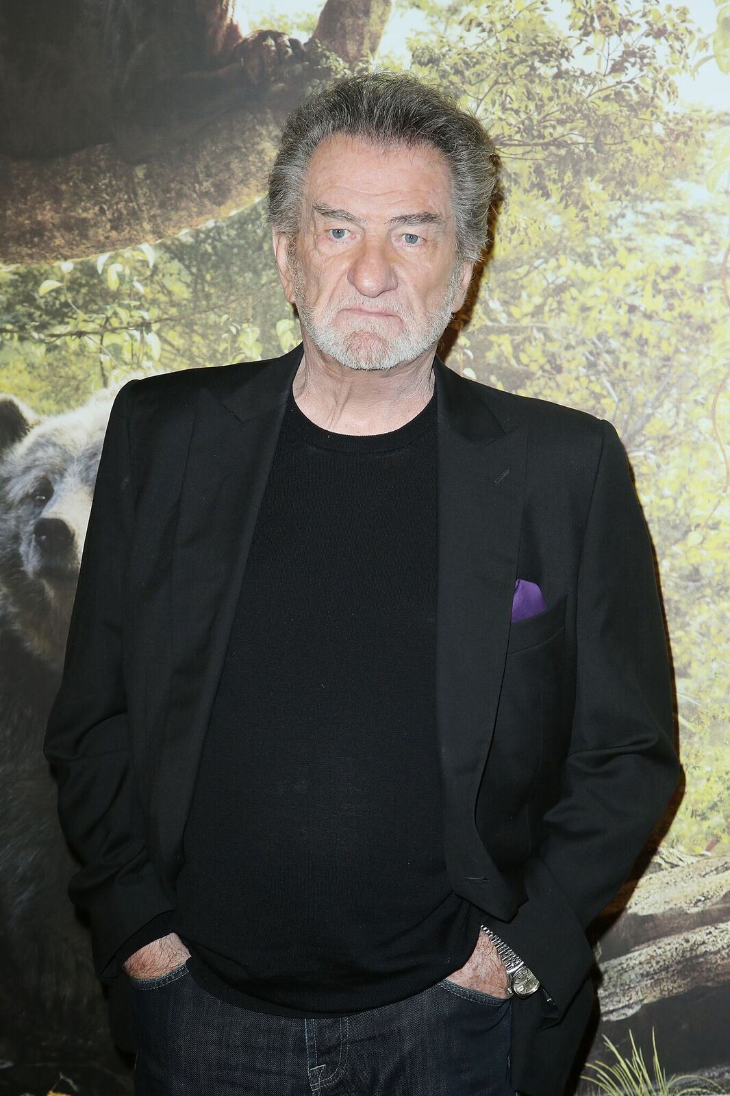 Eddy Mitchell au Cinéma Pathe Beaugrenelle le 11 avril 2016 à Paris, France. | Photo : Getty Images Eddy Mitchell au Cinéma Pathe Beaugrenelle le 11 avril 2016 à Paris, France. | Photo : Getty Images