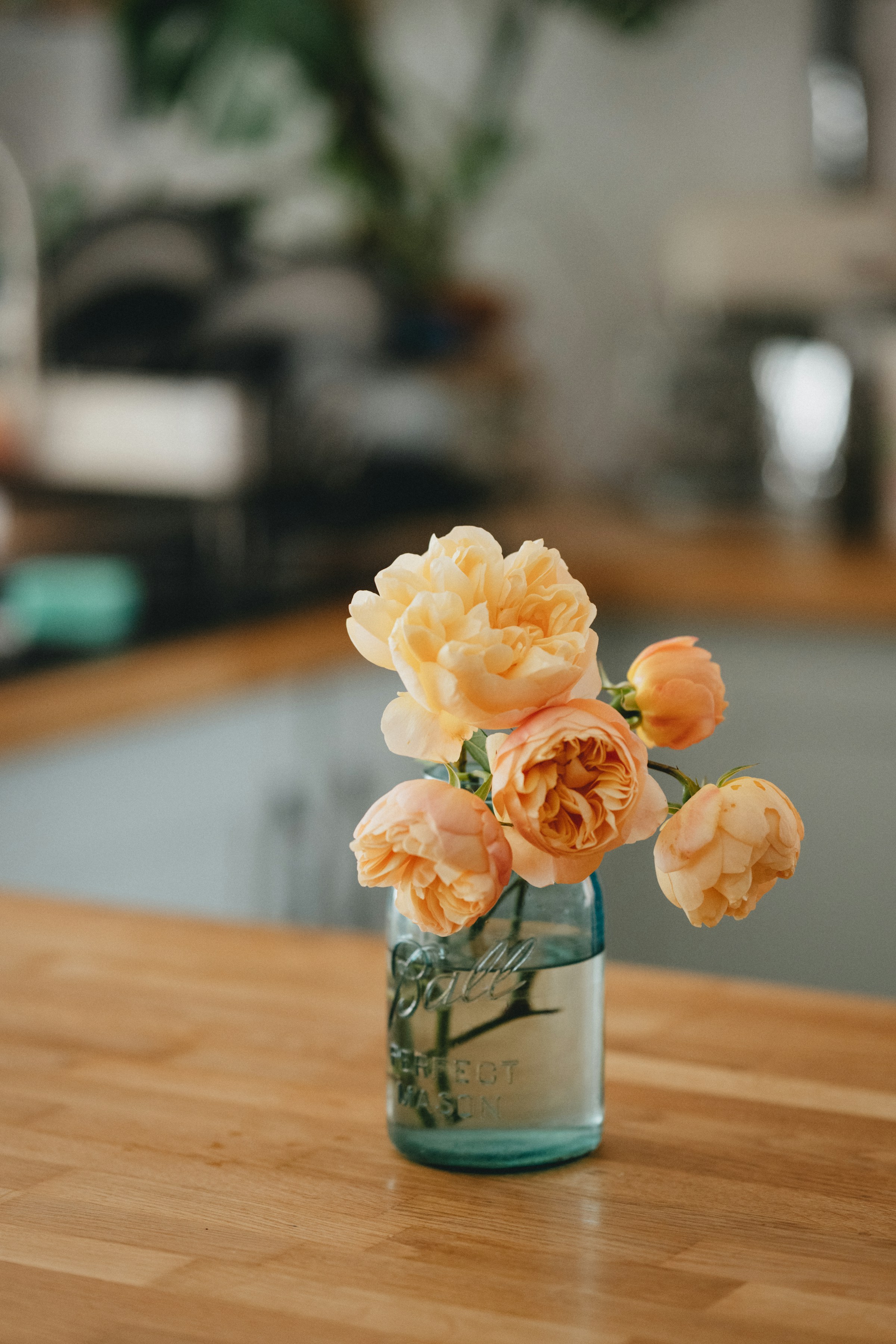 Vase of flowers | Source: Unsplash