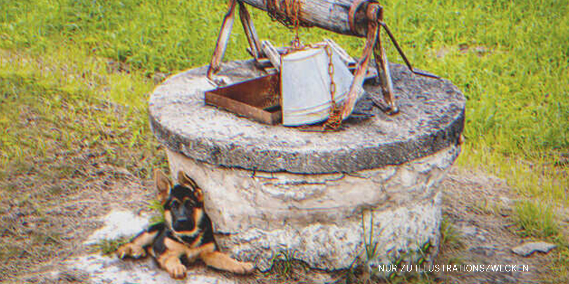 Welpe sitzt in der Nähe eines Brunnens. | Quelle: Getty Images