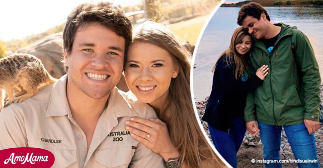 Bindi Irwin from 'Crikey! It's the Irwins' Shares Sweet Tribute to ...