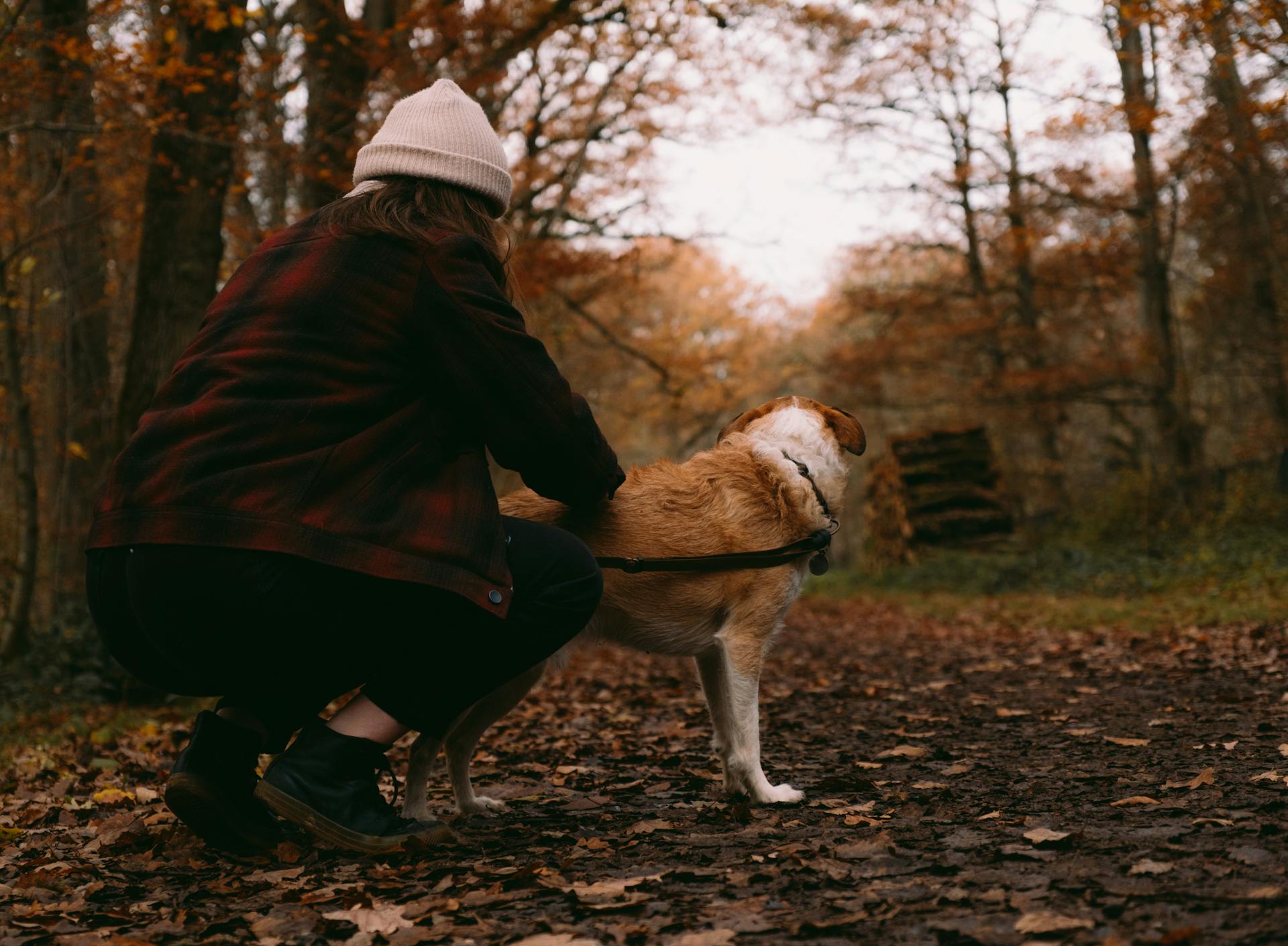 A woman in a park with her dog | Source: Pexels