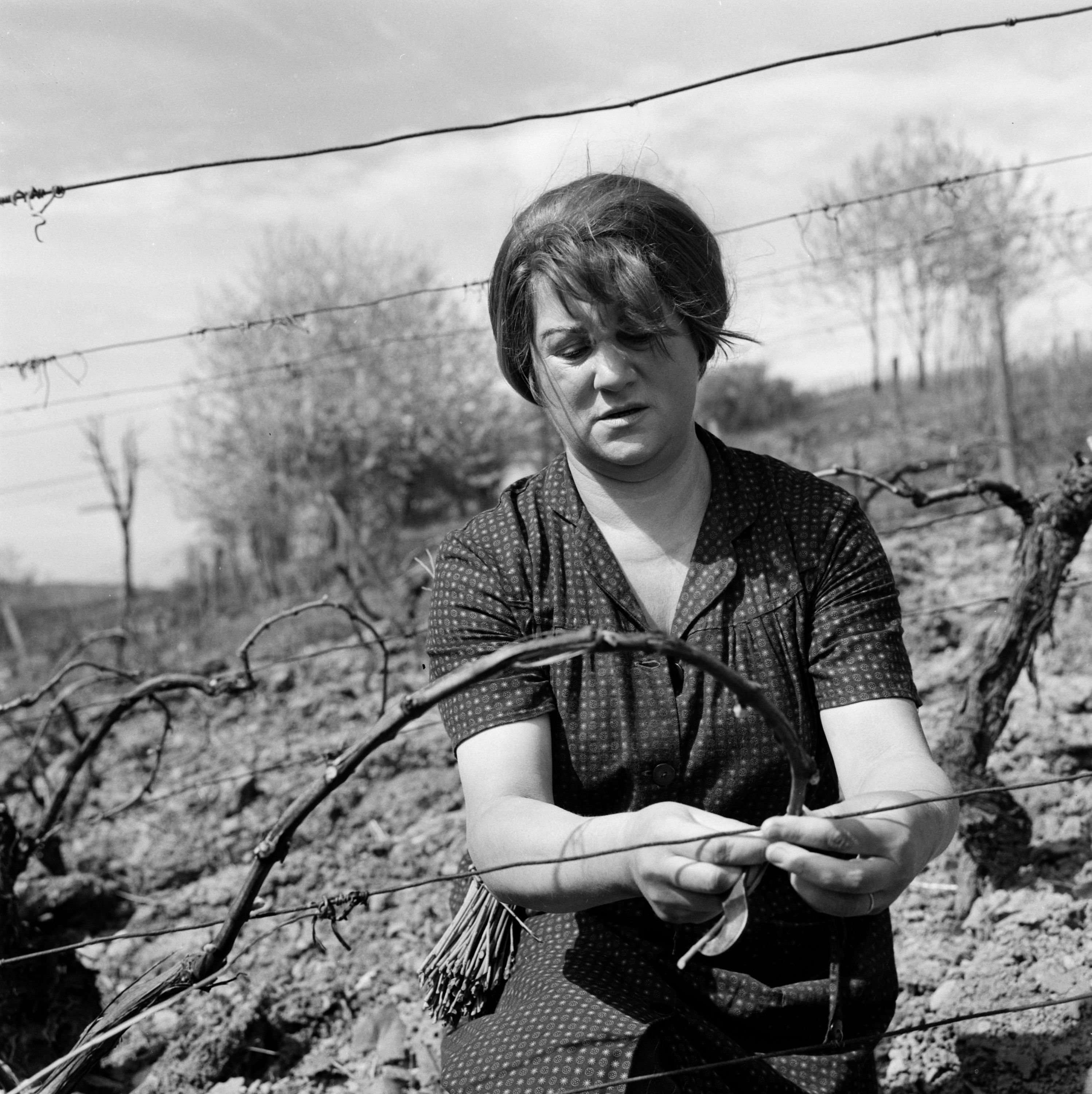 Dominique Davray en "espagnol" une fiction inspirée du roman de Bernard Clavel et réalisée par Jean Prat. | Photo : Getty Images