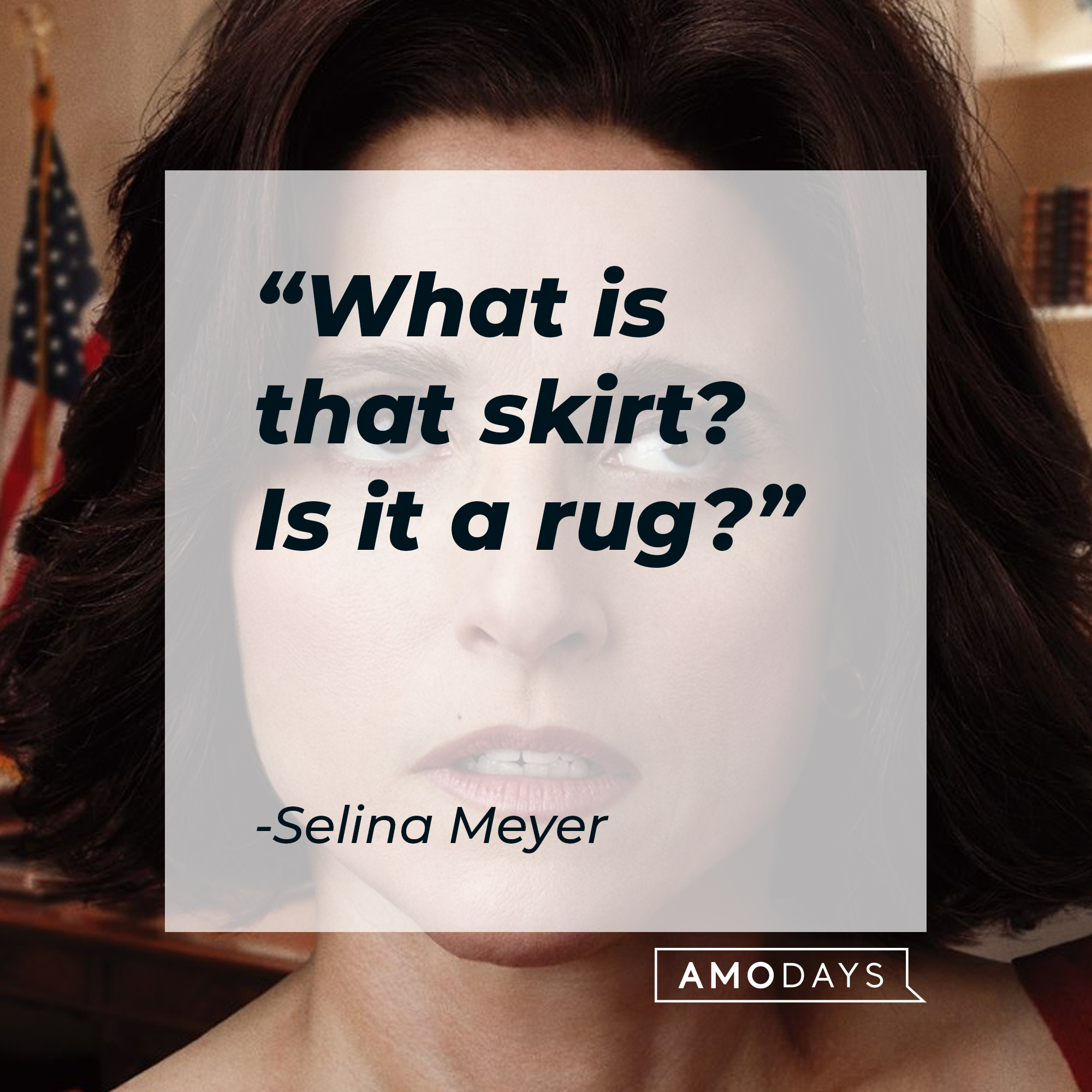 Selina Meyer, with her quote, “What is that skirt? Is it a rug?" | Source: Facebook.com/veep