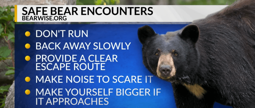 Some tips provided by BearWise in case someone happens to run into a bear | Photo: Youtube.com/CBS 17