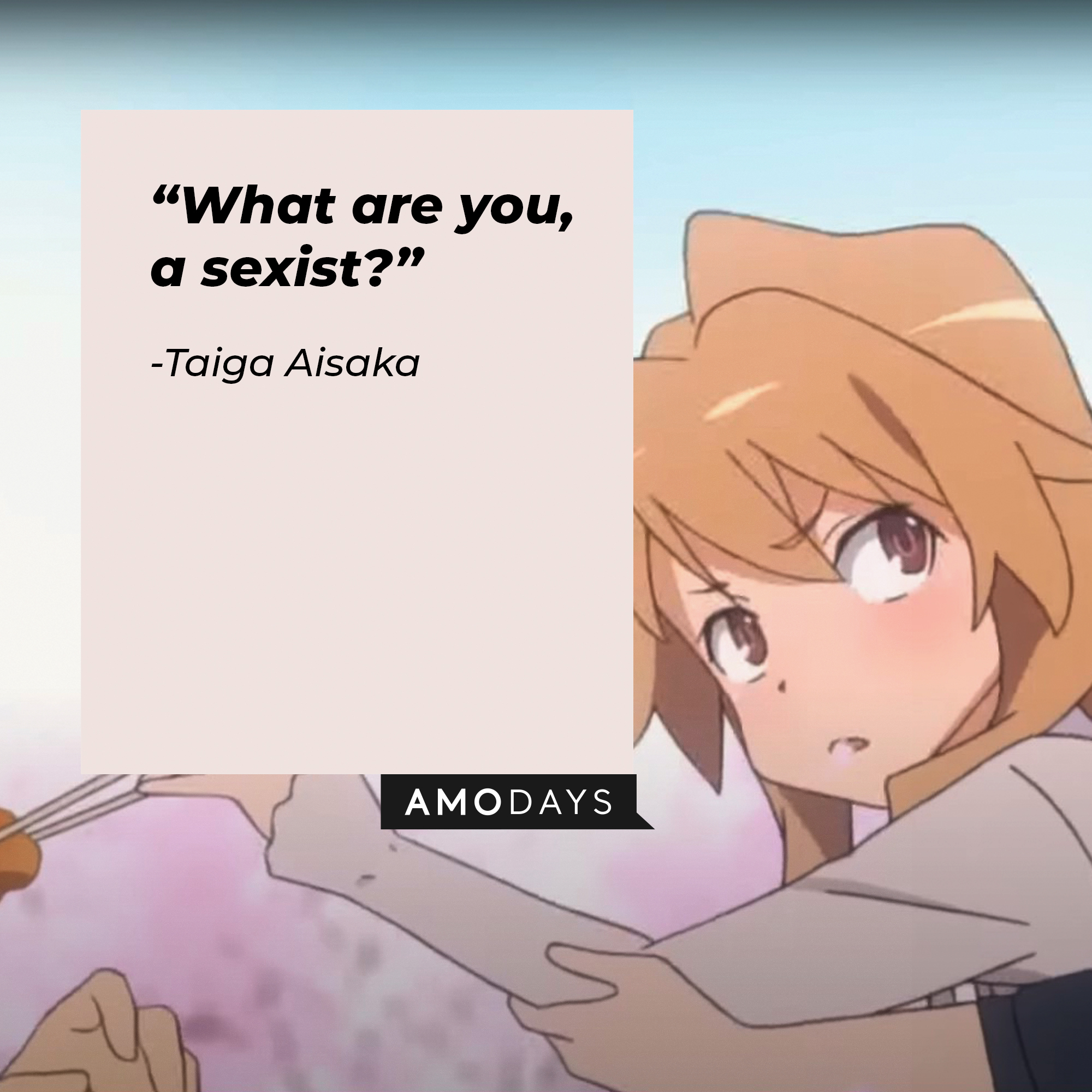 A picture of the animated character Taiga Aisaka with a quote by her: “What are you, a sexist?” | Image: facebook.com/toradoraoff
