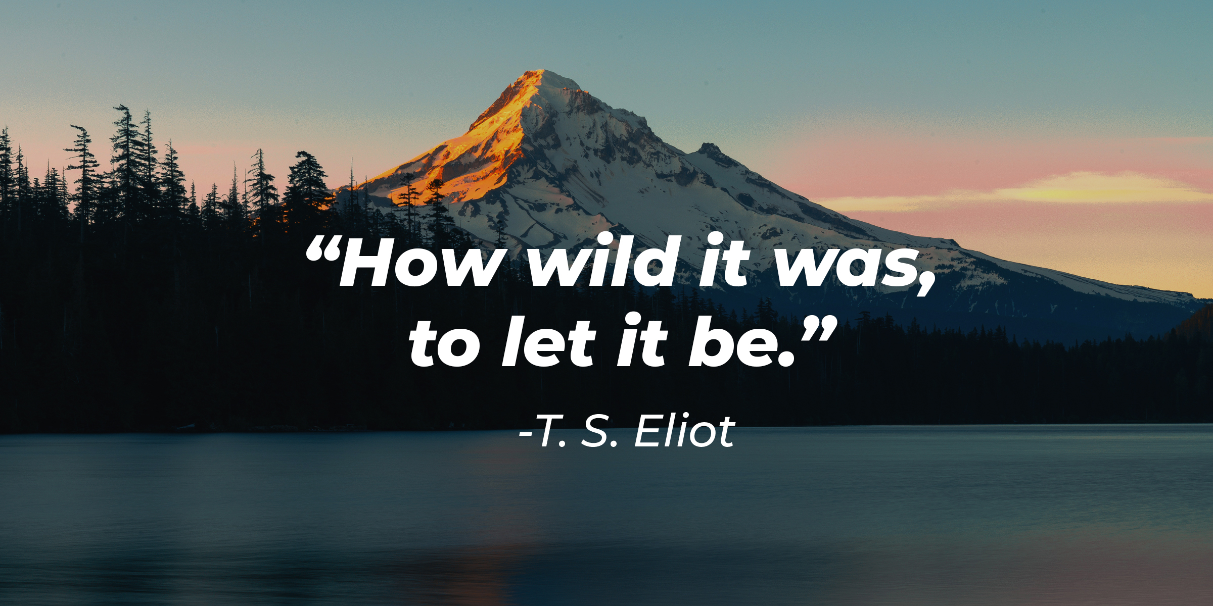 T. S. Elliot's quote: "How wild it was, to let it be." | Image: AmoDays