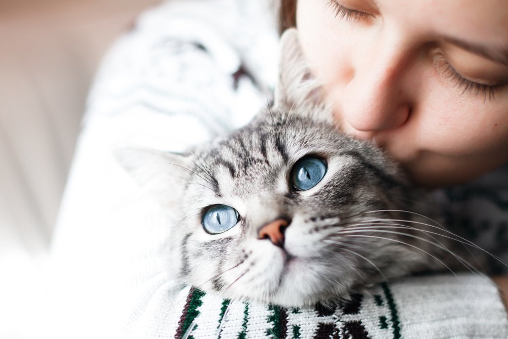 Mujer besando a su gato. | Foto: Shutterstock