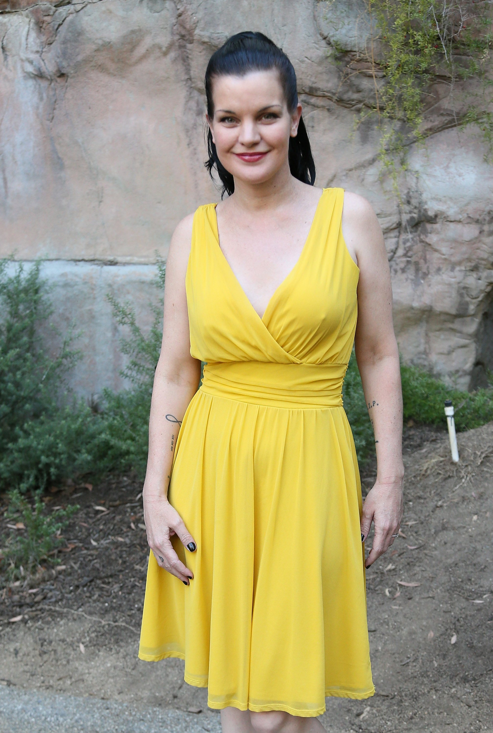 Pauley Perrette attends the Greater Los Angeles Zoo Association's (GLAZA) 45th Annual Beastly Ball at the Los Angeles Zoo on June 20, 2015 | Photo: GettyImages