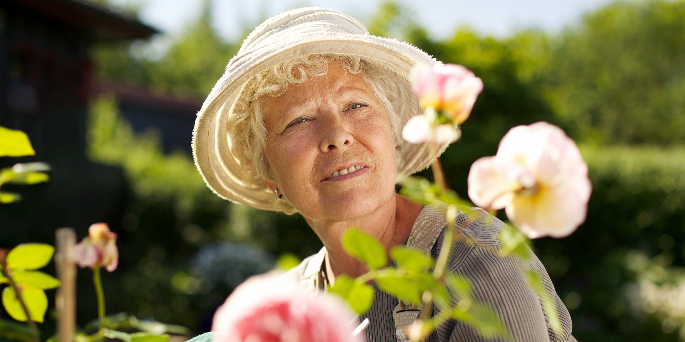 Elderly woman gardening | Source: Shutterstock