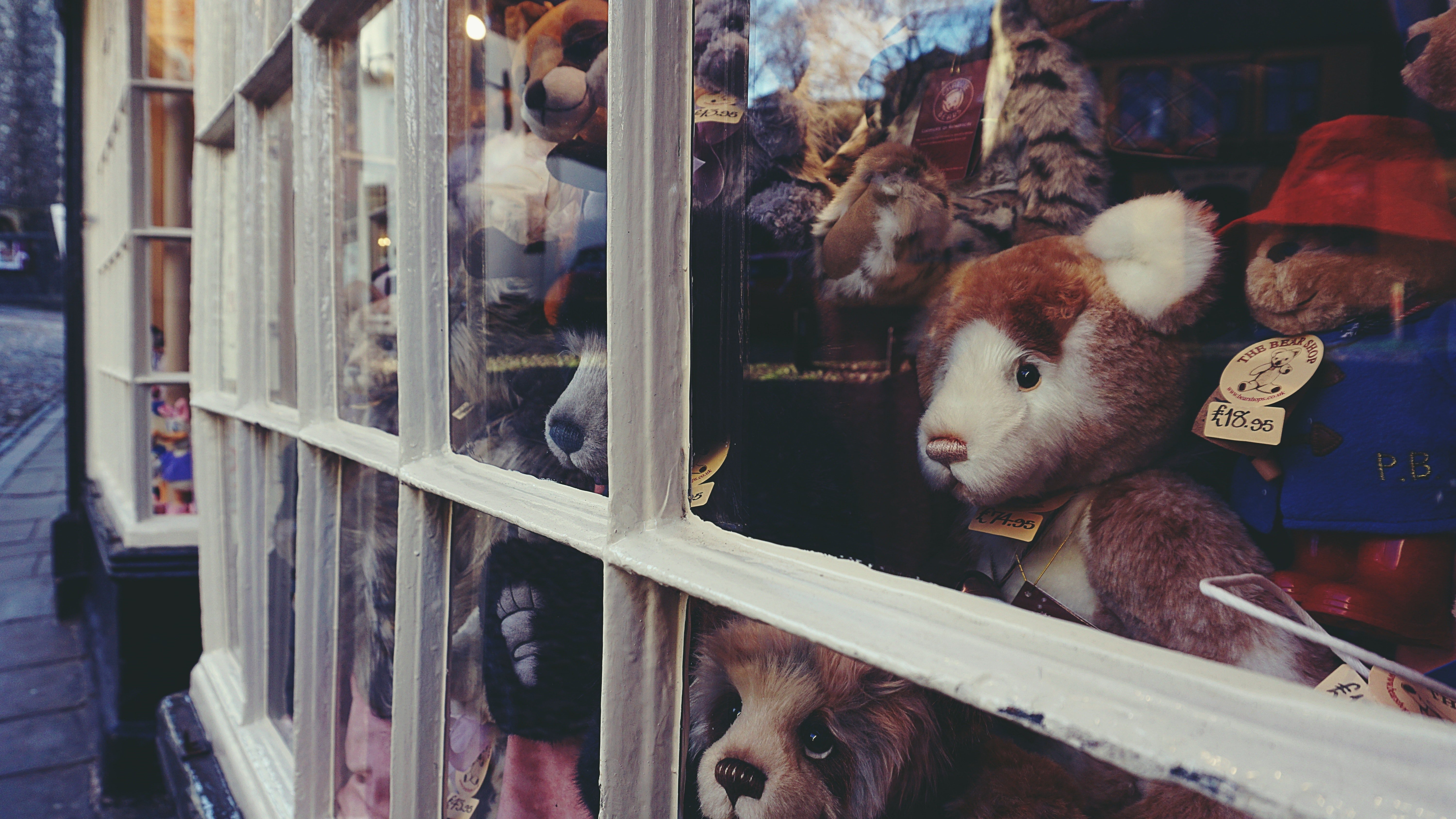 Tienda de juguetes. | Foto: Pexels