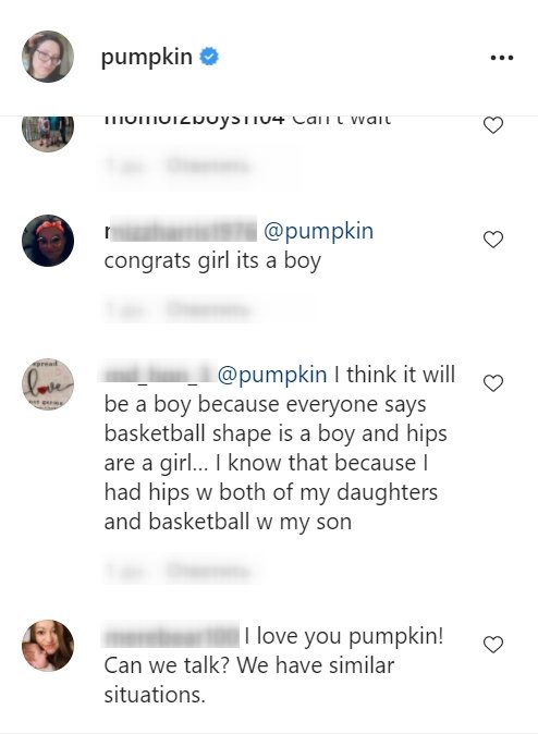 Fans' comments on Lauryn Shannon's Instagram post | Photo: Instagram/pumpkin