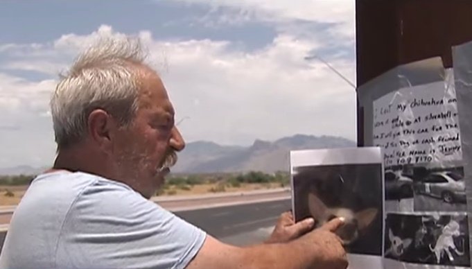 Eddie Collins señala una foto de su perra Jenny. | Foto: YouTube/News 4 Tucson KVOA-TV Eddie Collins señala una foto de su perra Jenny. | Foto: YouTube/News 4 Tucson KVOA-TV
