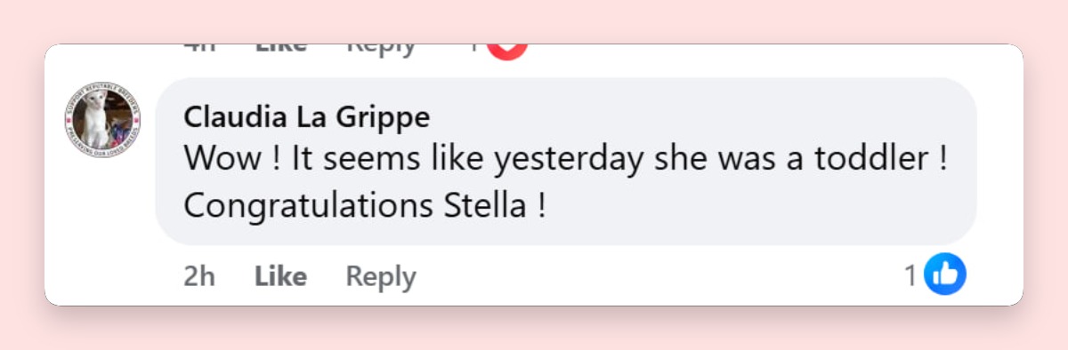 Amid the fashion-focused chatter, many fans kept the attention on Stella McDermott's milestone. One commenter captured the sentimental mood, writing, "Wow! It seems like yesterday she was a toddler! Congratulations Stella!" | Source: Facebook/Page Six