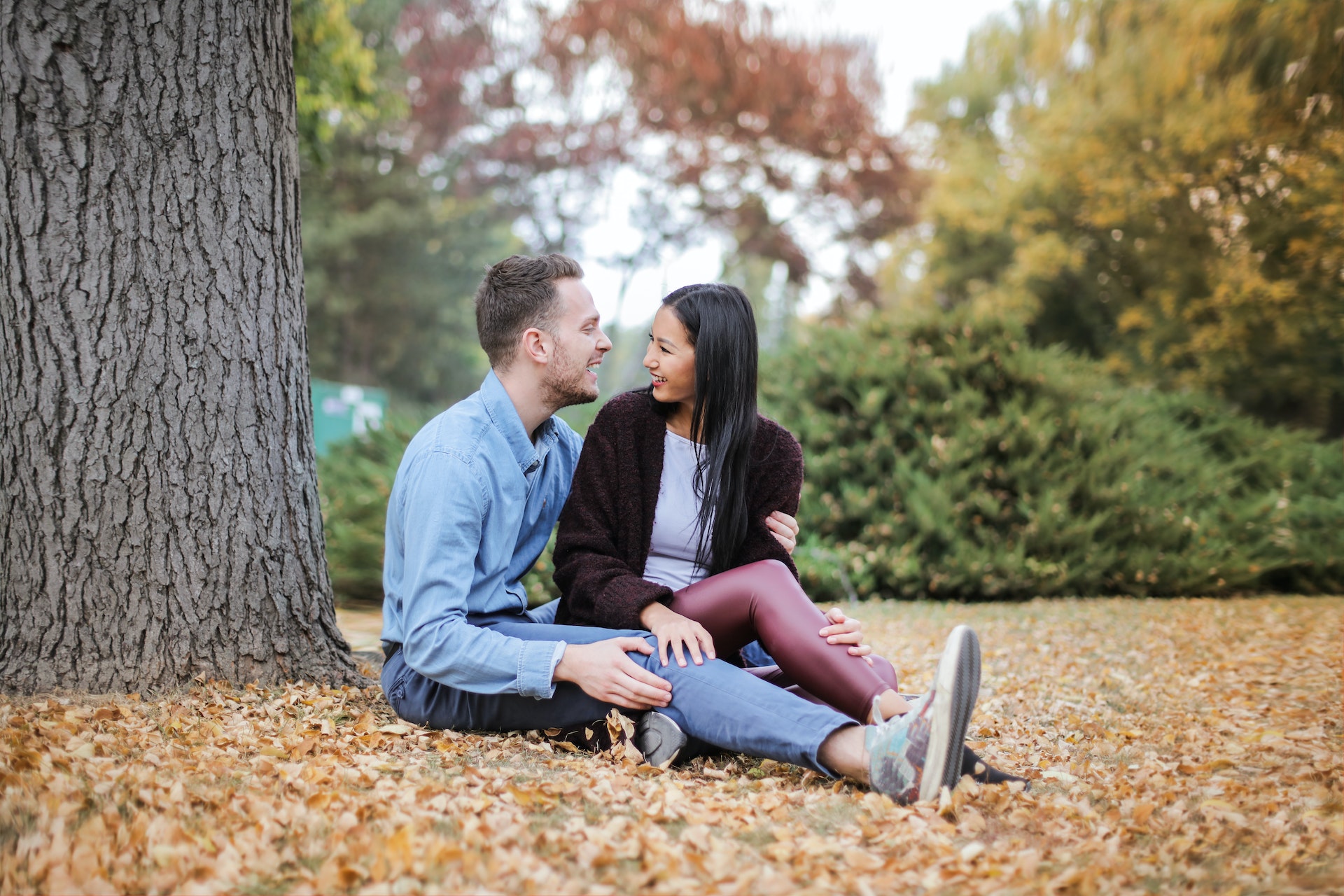 A couple sitting under a tree | Source: Pexels