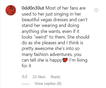 Fan's comment on Celine Dion's post. |  Source: Instagram/celinedion