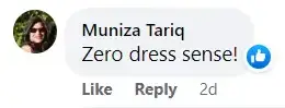 Ein Screenshot eines harschen Kommentars, den Sasha und Malia Obama für ihre Outfits auf Drake's After-Party erhalten haben. | Quelle: facebook.com/DailyMail