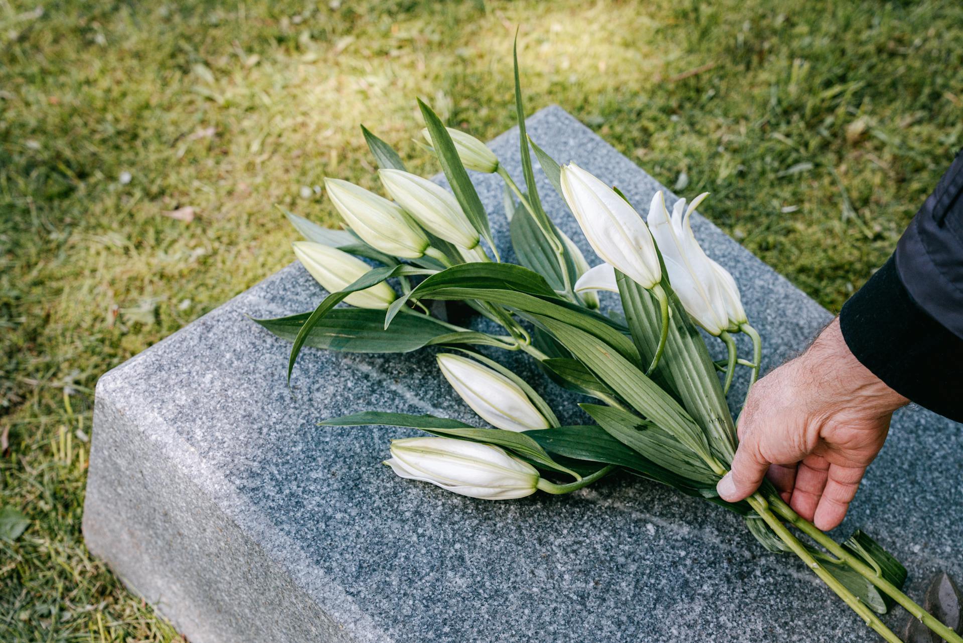 Flowers at a grave | Source: Pexels