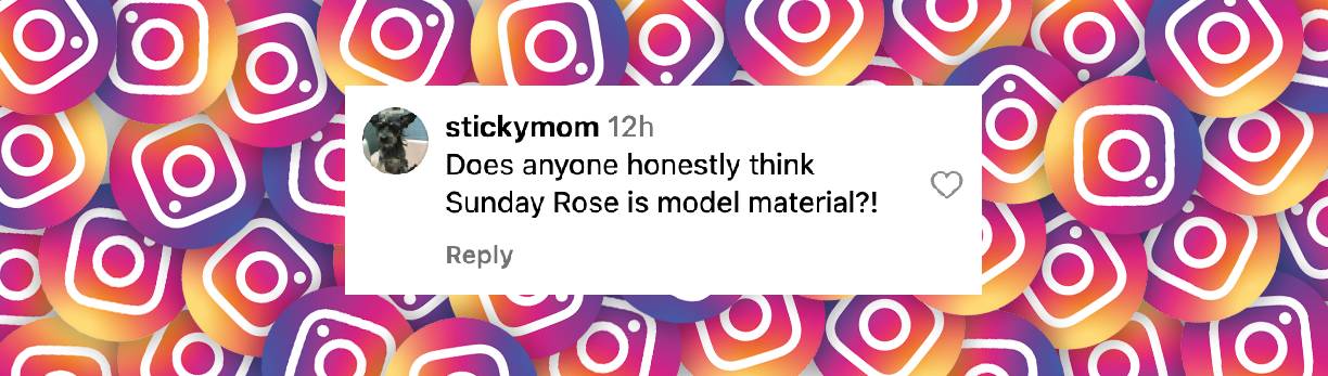 A netizen's comment on Sunday Rose Kidman Urban's second runway show in Paris, France, posted on March 11, 2025 | Source: Instagram/justjared