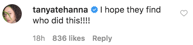 Tanya Scott commented on Terra Jole's tribute following the death of Ashley "Minnie" Ross | Source: Instagram.com/terrajole