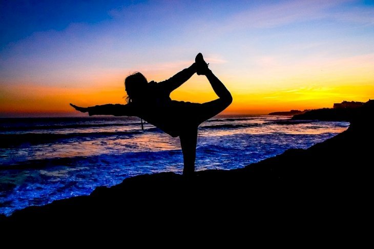 Imagen tomada de: Pixabay Imagen tomada de: Pixabay