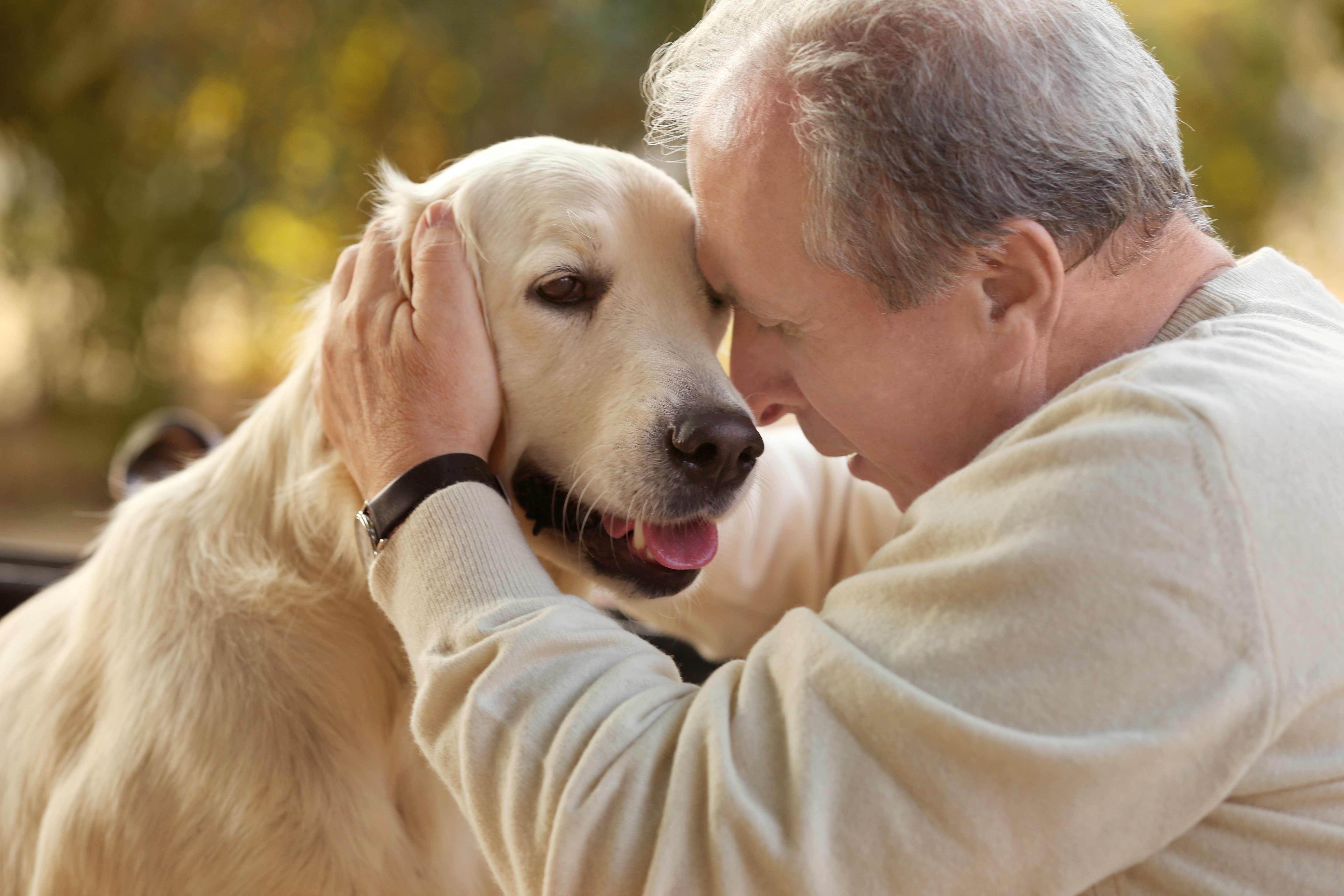 Senior man and big dog, closeup | Photo: Shutterstock.com
