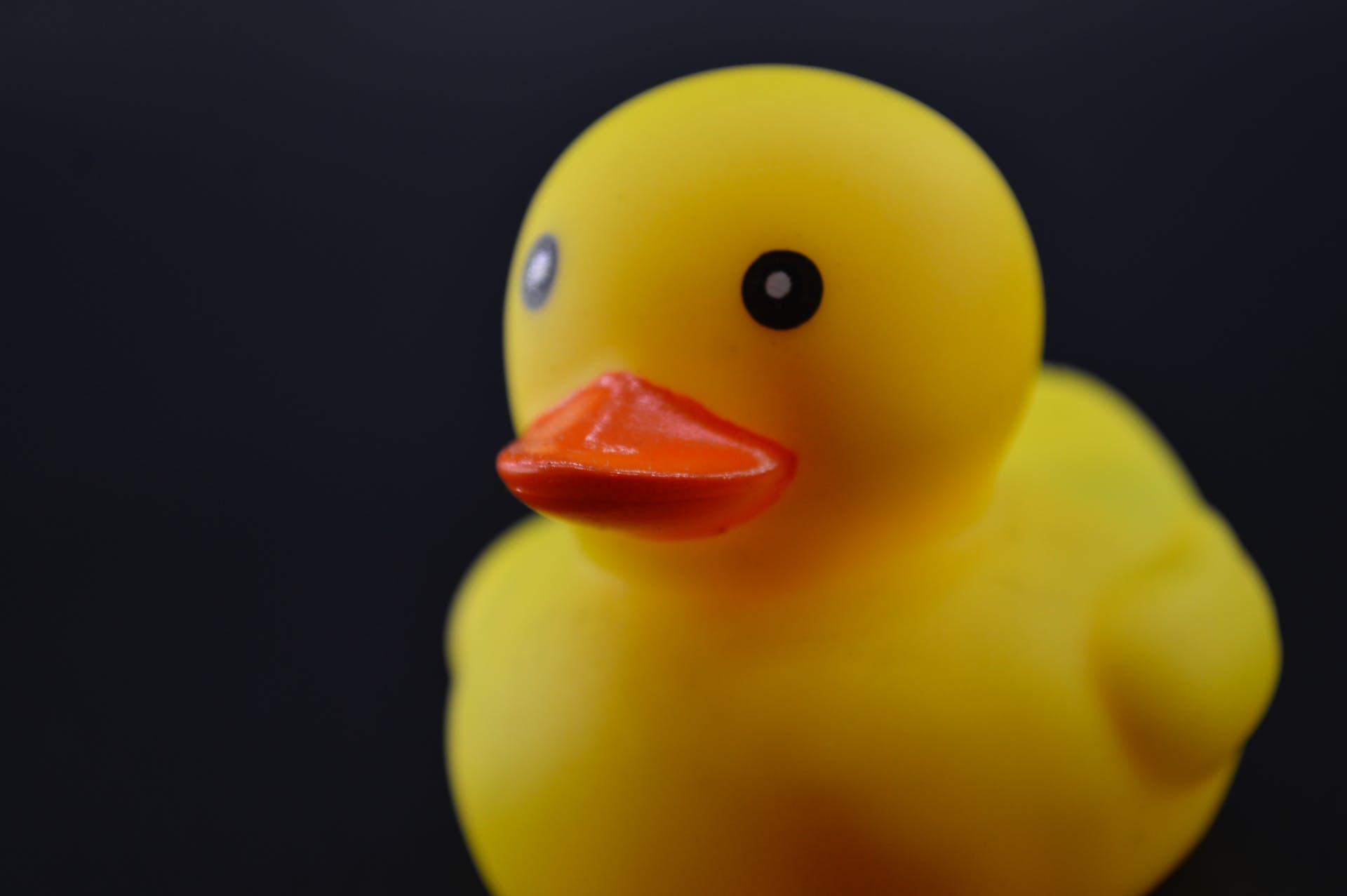A rubber duck | Source: Pexels