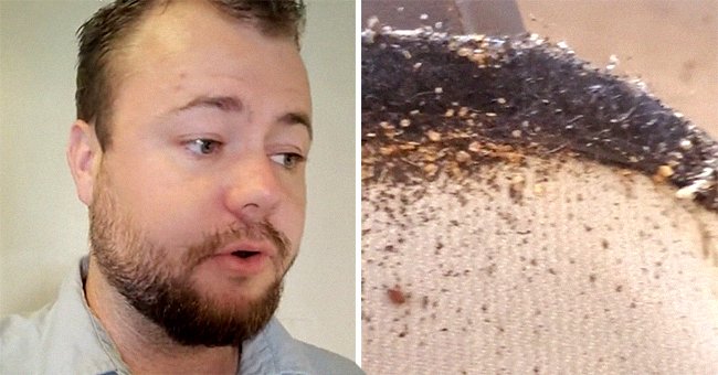 Exterminator shows viewers a bug-infected couch that someone was allegedly trying to donate | Photo: TikTok/exterminatorking