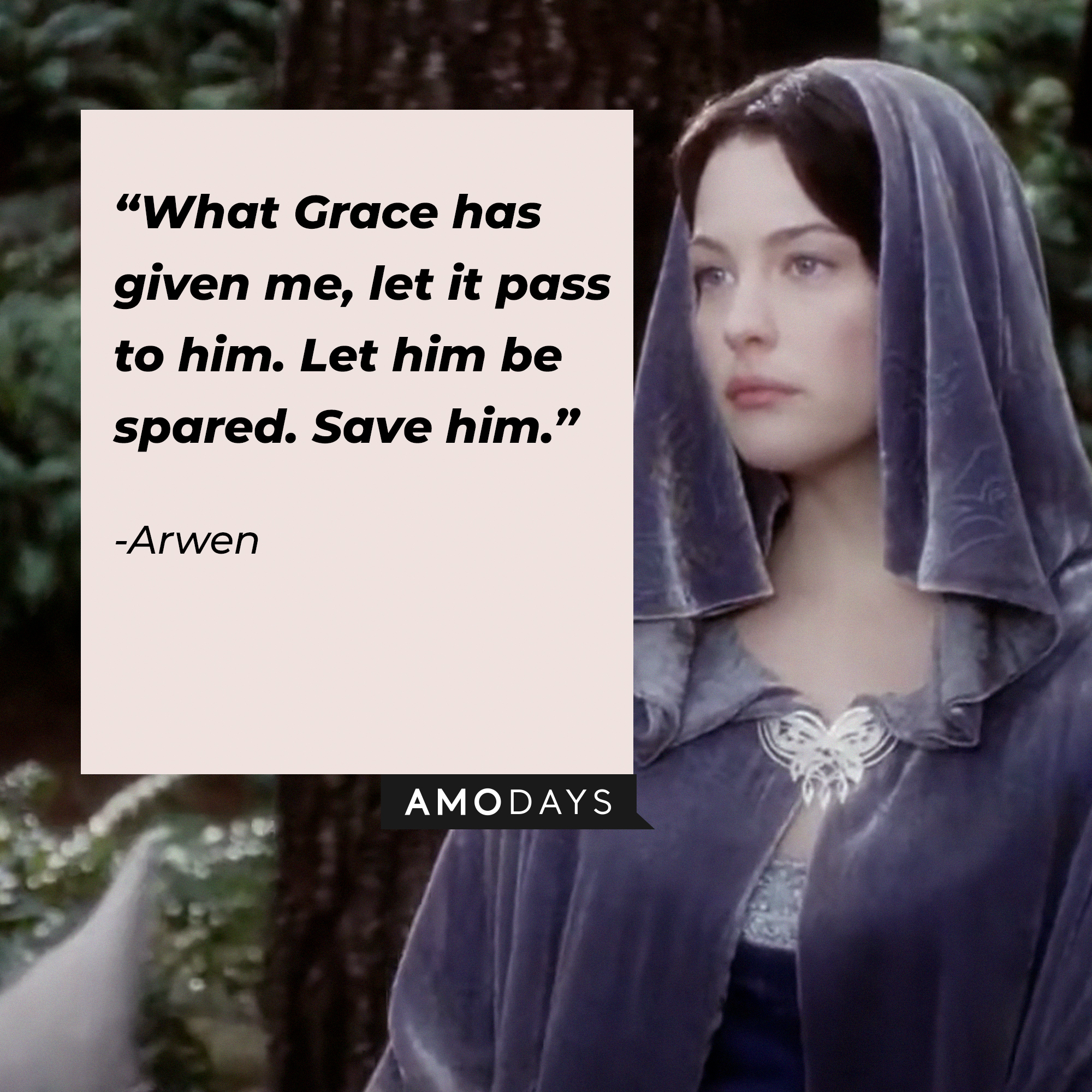 Arwen's quote : “What Grace has given me, let it pass to him. Let him be spared. Save him.” | Source: facebook.com/lordoftheringstrilogy
