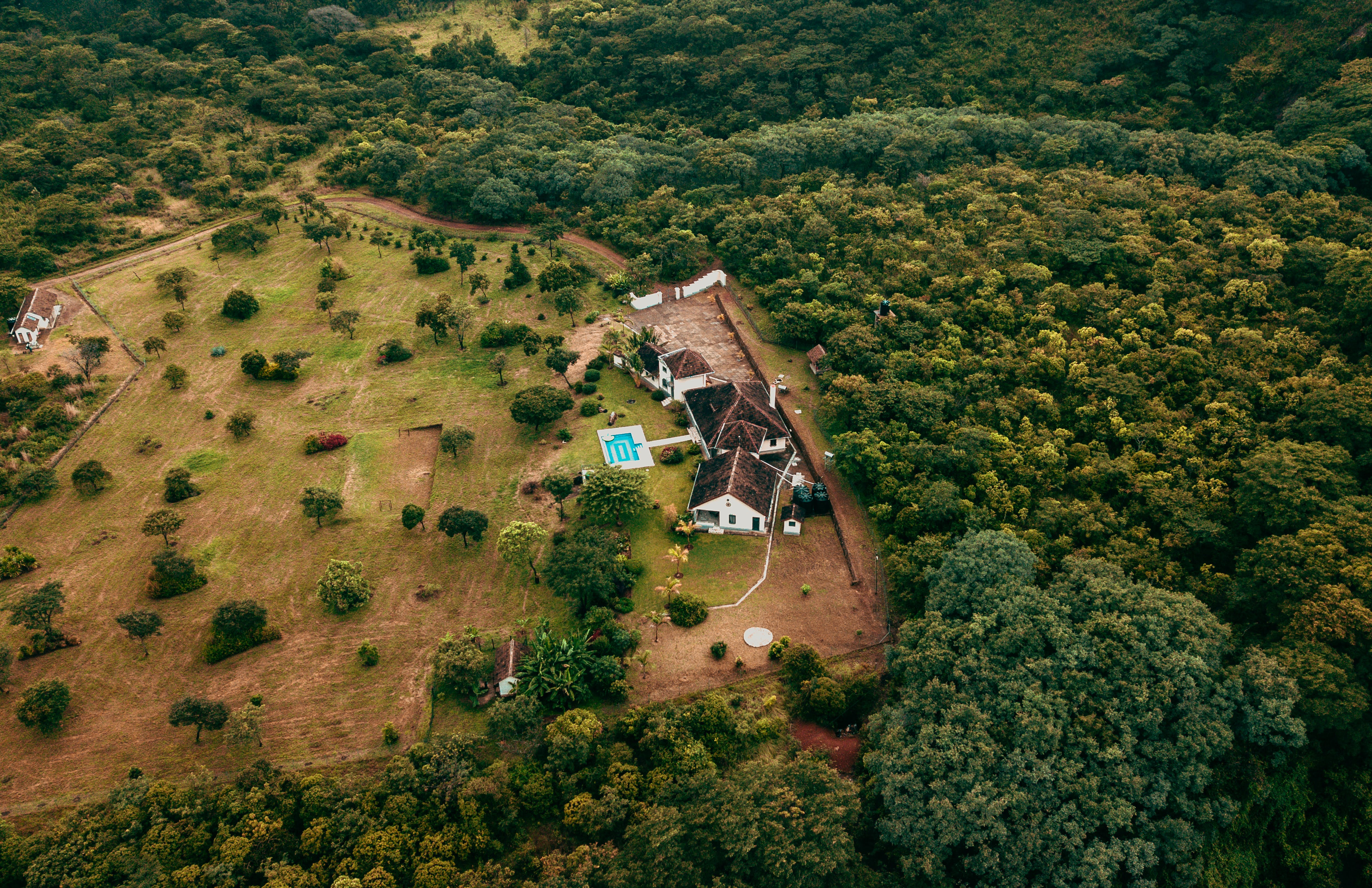 An overview of a property surrounded by trees | Source: Pexels