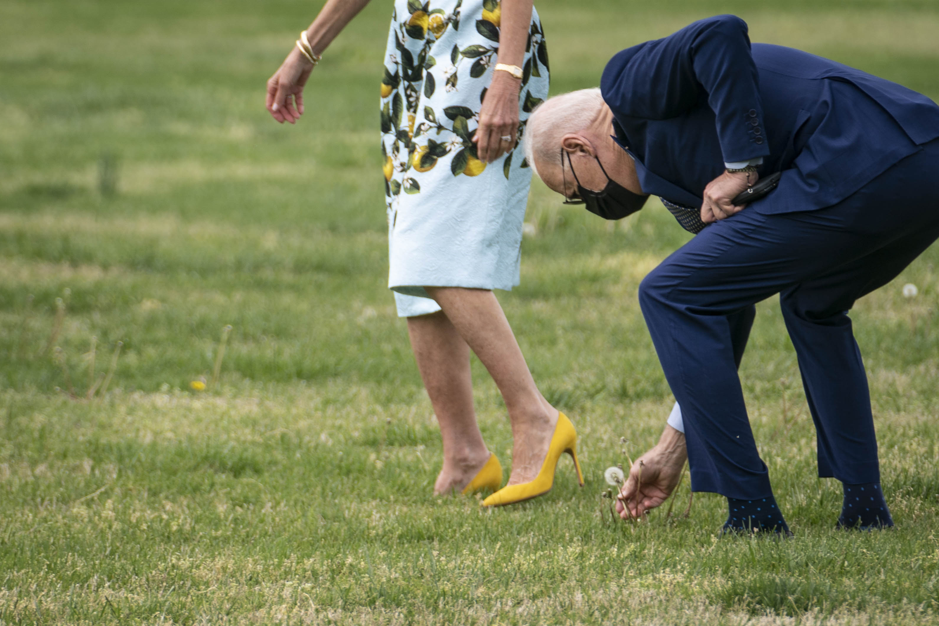 Joe Biden picking a dandelion for Jill Biden as they walk to Marine One on the Ellipse near the White House on April 29, 2021, in Washington, D.C. | Source: Getty Images
