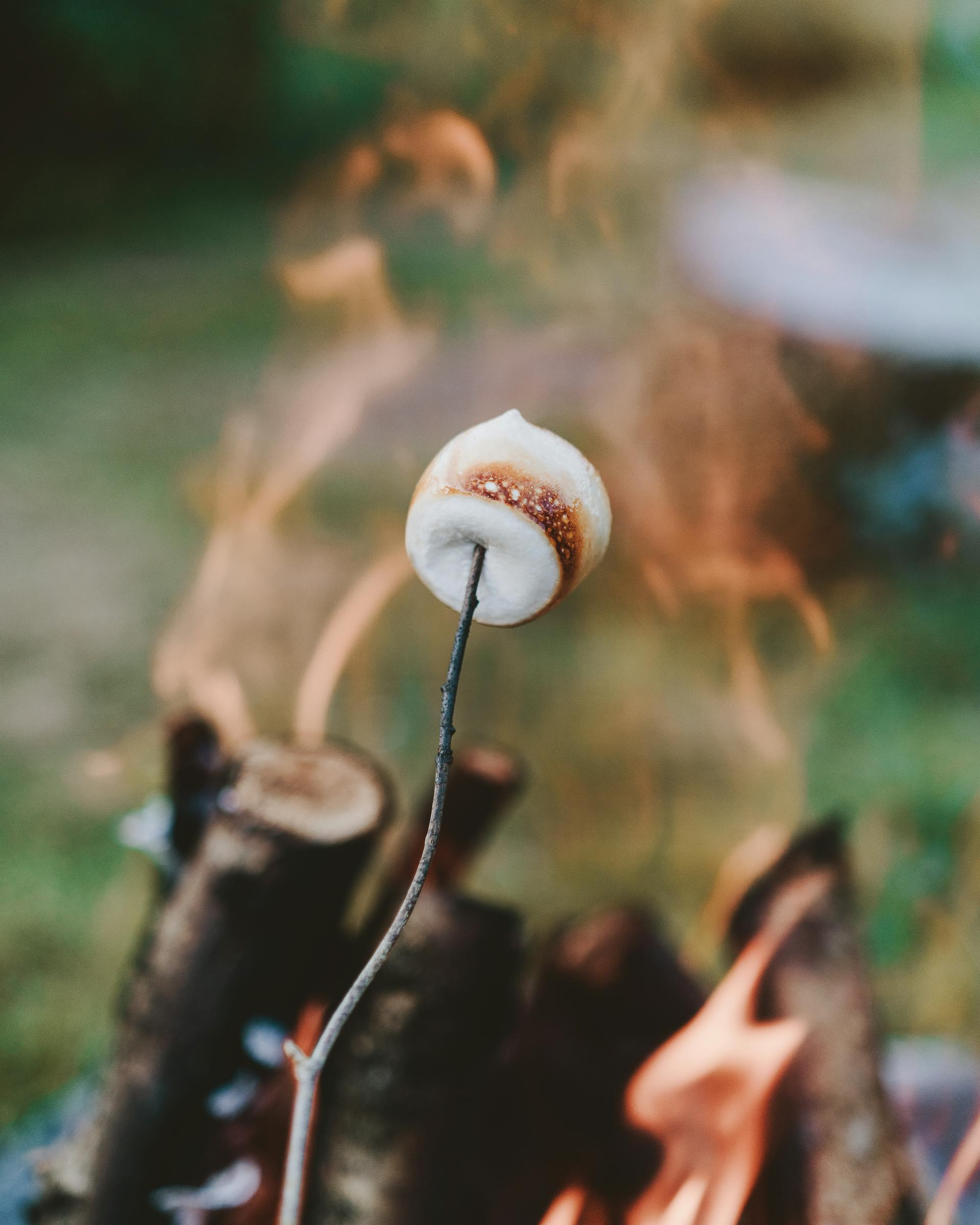 A marshmallow being roasted | Source: Pexels