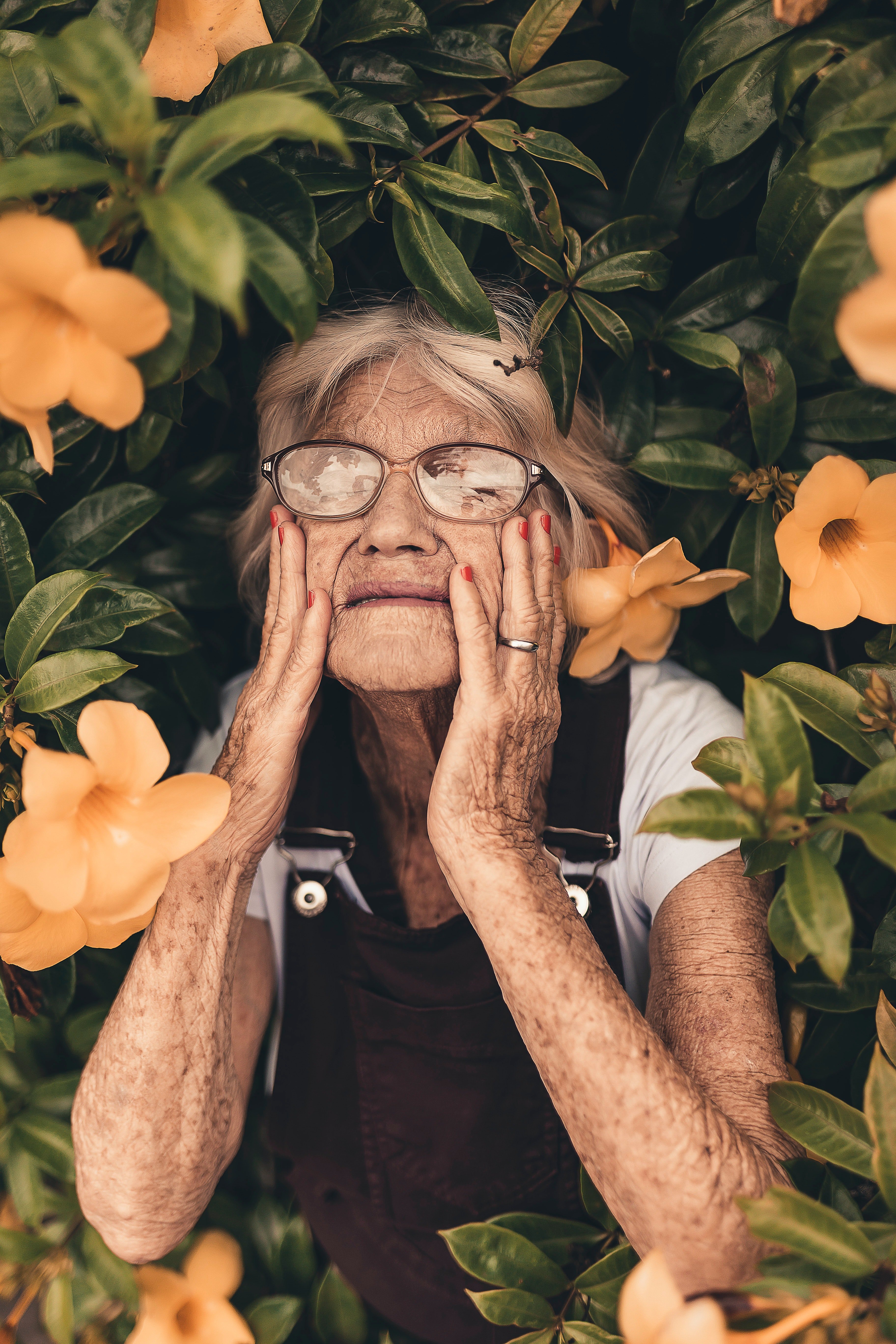 Retrato de mujer mayor en medio de flores. | Foto: Pexels